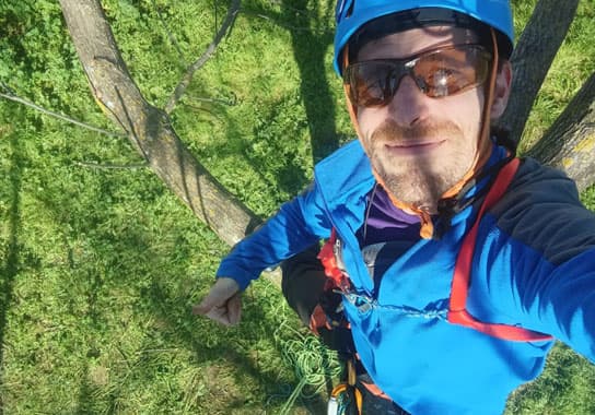Experto realizando labores de poda en altura en Salamanca